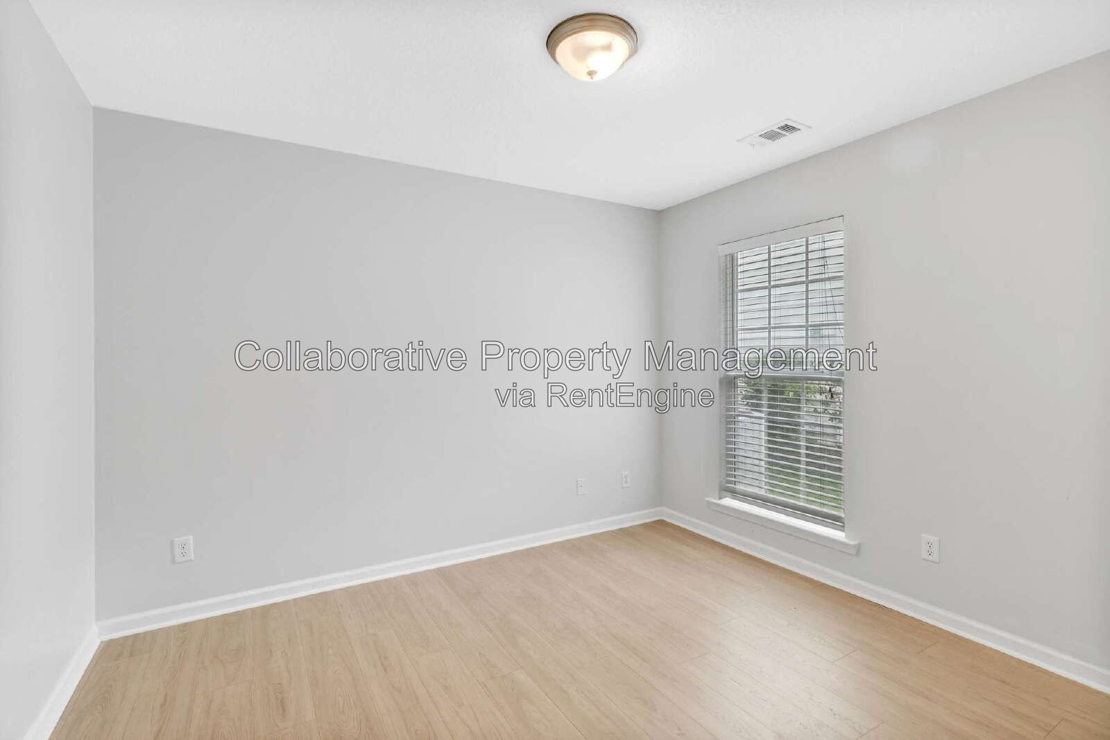 Freshly updated, 4 bedroom, 2 bathroom home in Waterford Landing property image