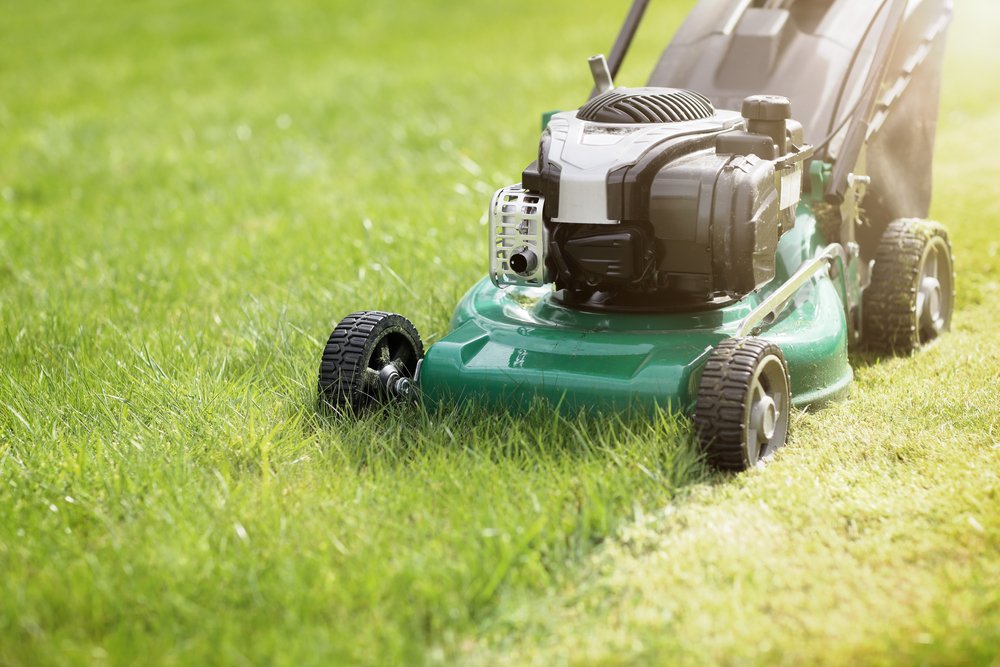 Are Tenants Responsible for Lawn Care?